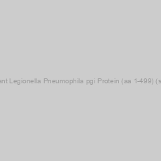 Image of Recombinant Legionella Pneumophila pgi Protein (aa 1-499) (strain Paris)